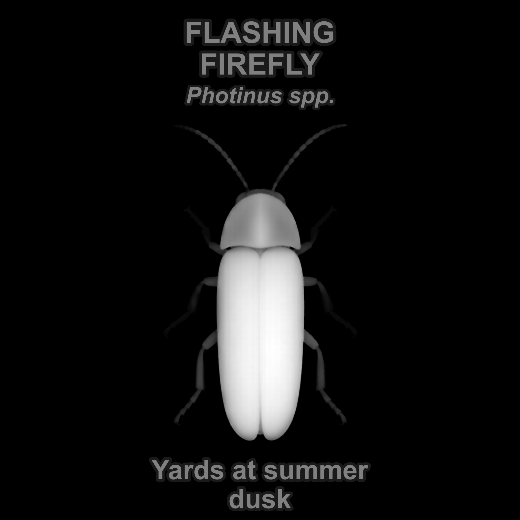 Flashing firefly — Relief depth PNG — prototype