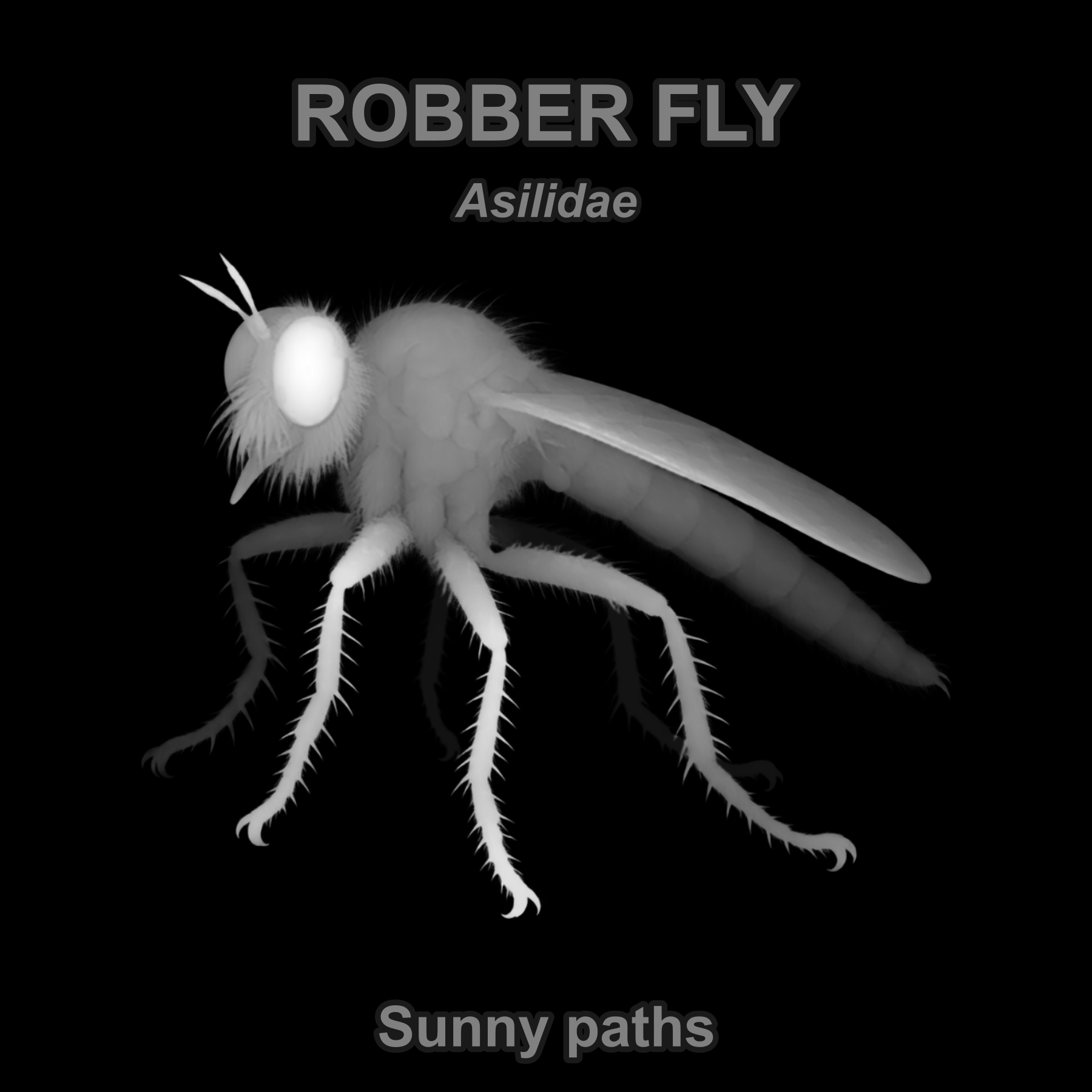 Robber fly — Relief depth PNG — prototype
